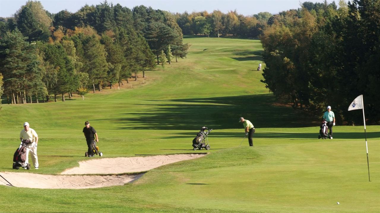 THE BRADFORD GOLF CLUB LTD